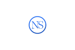 Noah Scott Logo